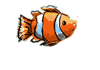 fish6