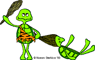 Cave Turtle Gif