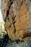 dft wall