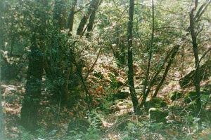 Creek through the campground at trail's beginning