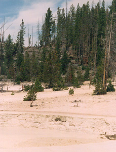 Sink-hole along the backcountry portion of the trail
