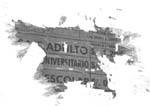 Ver ampliación
