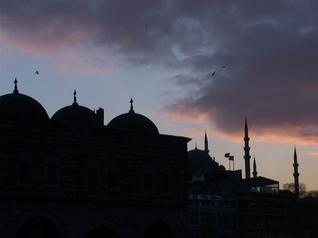 istanbul's silhouette 