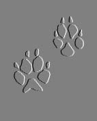 Gray Fox Prints!