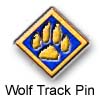 Wolf Track Pin