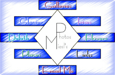 Gallery Guide