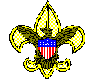BSA