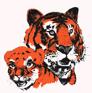 Go to Tiger page