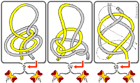 Overhand knot (Wood Badge thong braid)