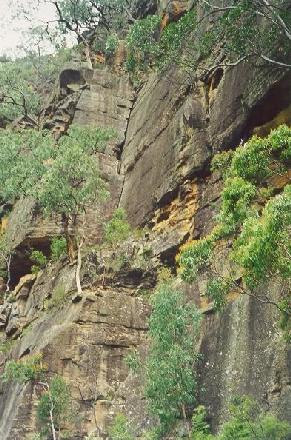 Annelid Crack, Glenbrook Gorge, Blue Mountains