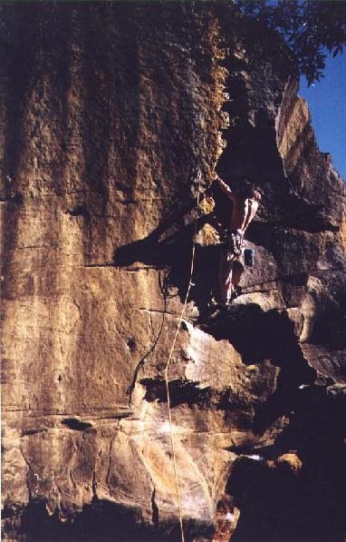 Ladder of Gloom, Berowra