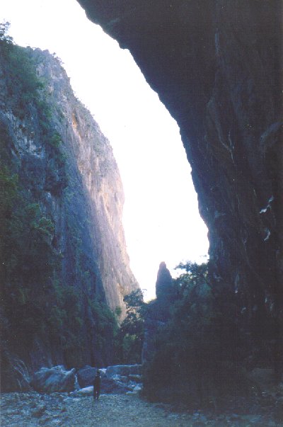 Bungonia Gorge