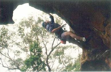 Wall Thing, Berowra