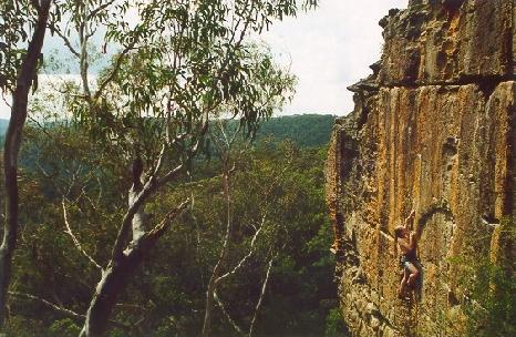 Looks Poxable, Berowra