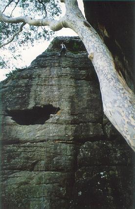 Vanderholics, Thompson's Point