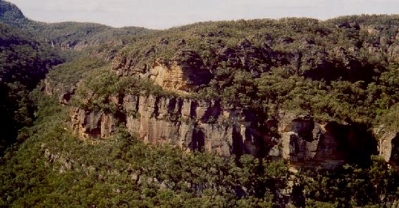 Petries Gully