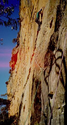 Don't forget to rewind your film before opening your camera!!