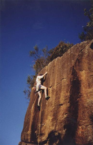 Wall Thing, Berowra
