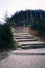 The trail leading to the tower at the top