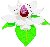 Magnolia Blossom