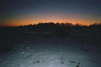 Pretty Sunrise