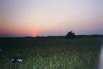 Sunset over the dekes