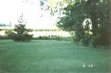 In the
back yard.