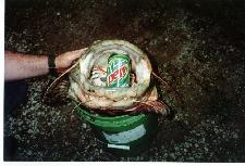 Remember that soda can?