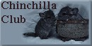 Chinchilla Club Ring