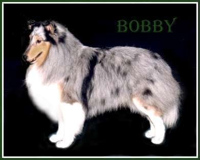 Bobby