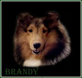 Brandy