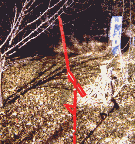 Image Link