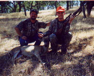 /user/giuded-deer.jpg