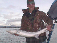 AK Hawg Hunter with sturgeon Feb 1998