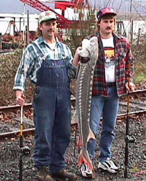 Charles and Ryan with 4 ft 11.5 inch sturgeon 2-28-98