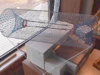 Top View