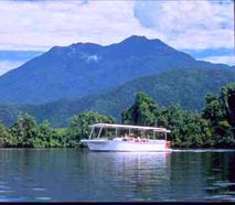 Daintree river