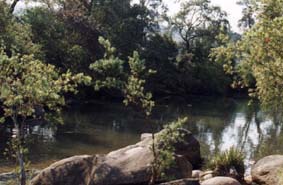Swimming hole at Flanagan's Reserve