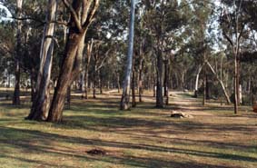 Flanagan's Reserve Camping Area