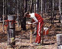 Orienteering
