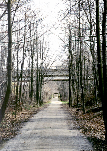 Eastward Near I-196