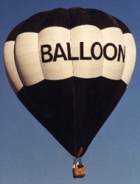 Is this generic balloon cheaper?