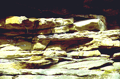 Limestone