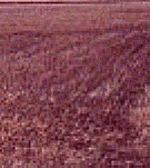 Soil