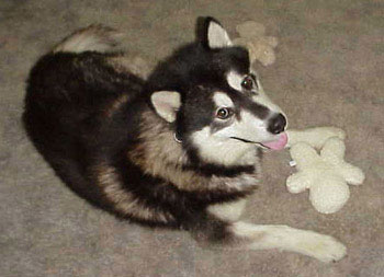 Glacier At 3 Years