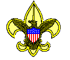 BSA patch