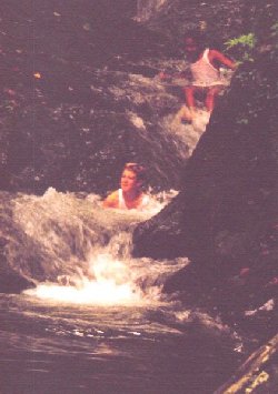 watersl.jpg (20971 bytes)