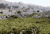 Urbia plateau