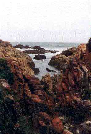 Garden route