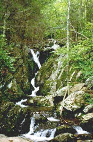 Shenandoah national park